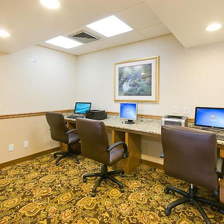 Quality Inn & Suites Saginaw Faciliteter billede