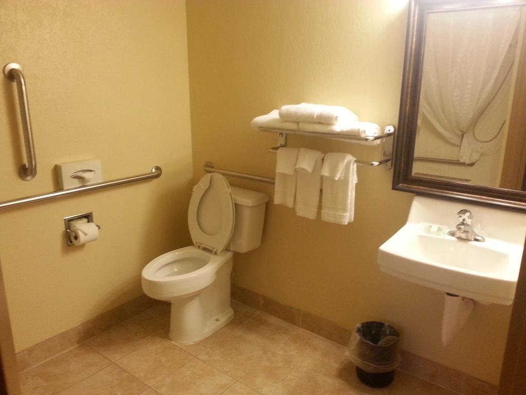 Quality Inn & Suites Saginaw Værelse billede