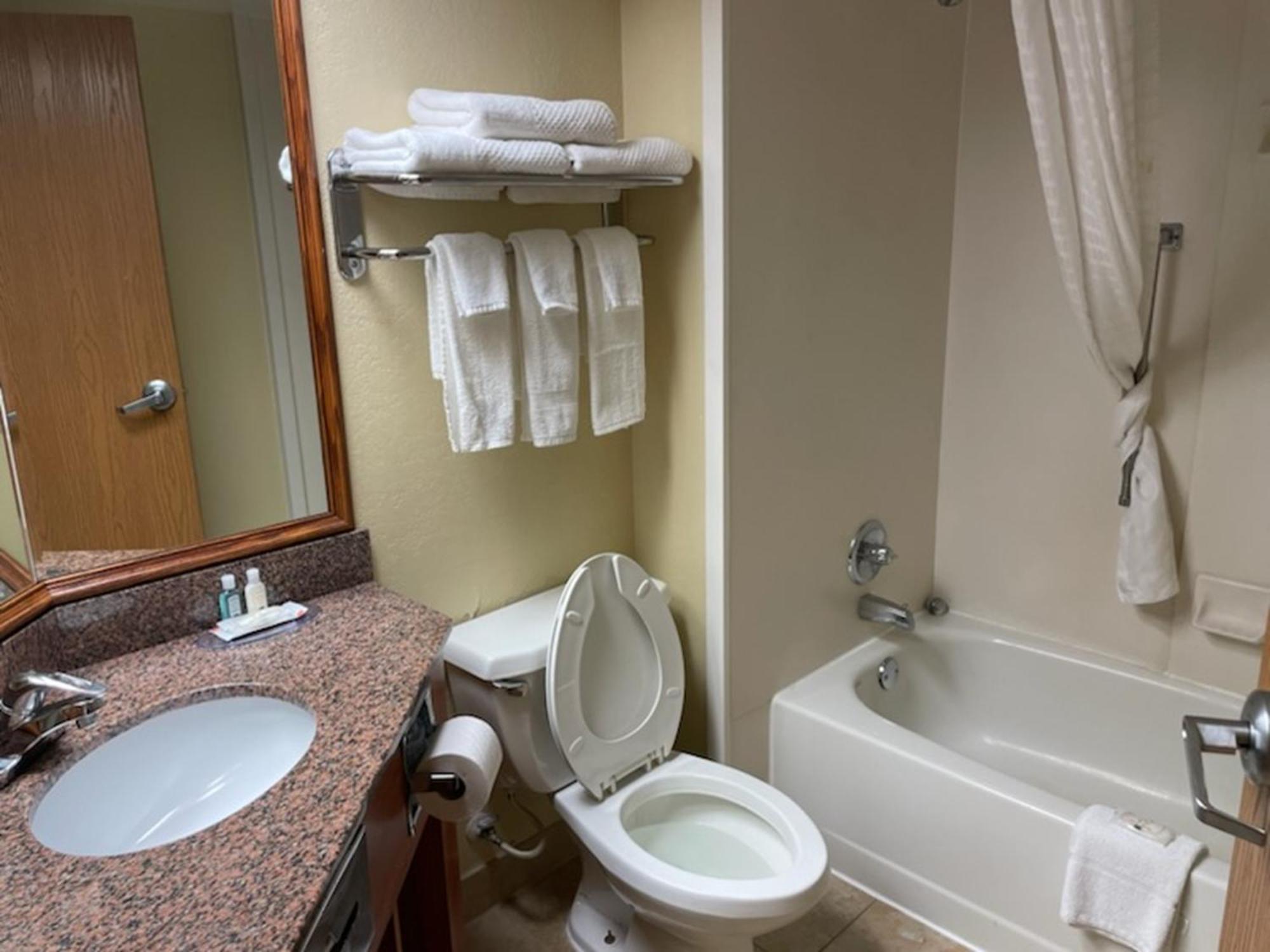 Quality Inn & Suites Saginaw Eksteriør billede