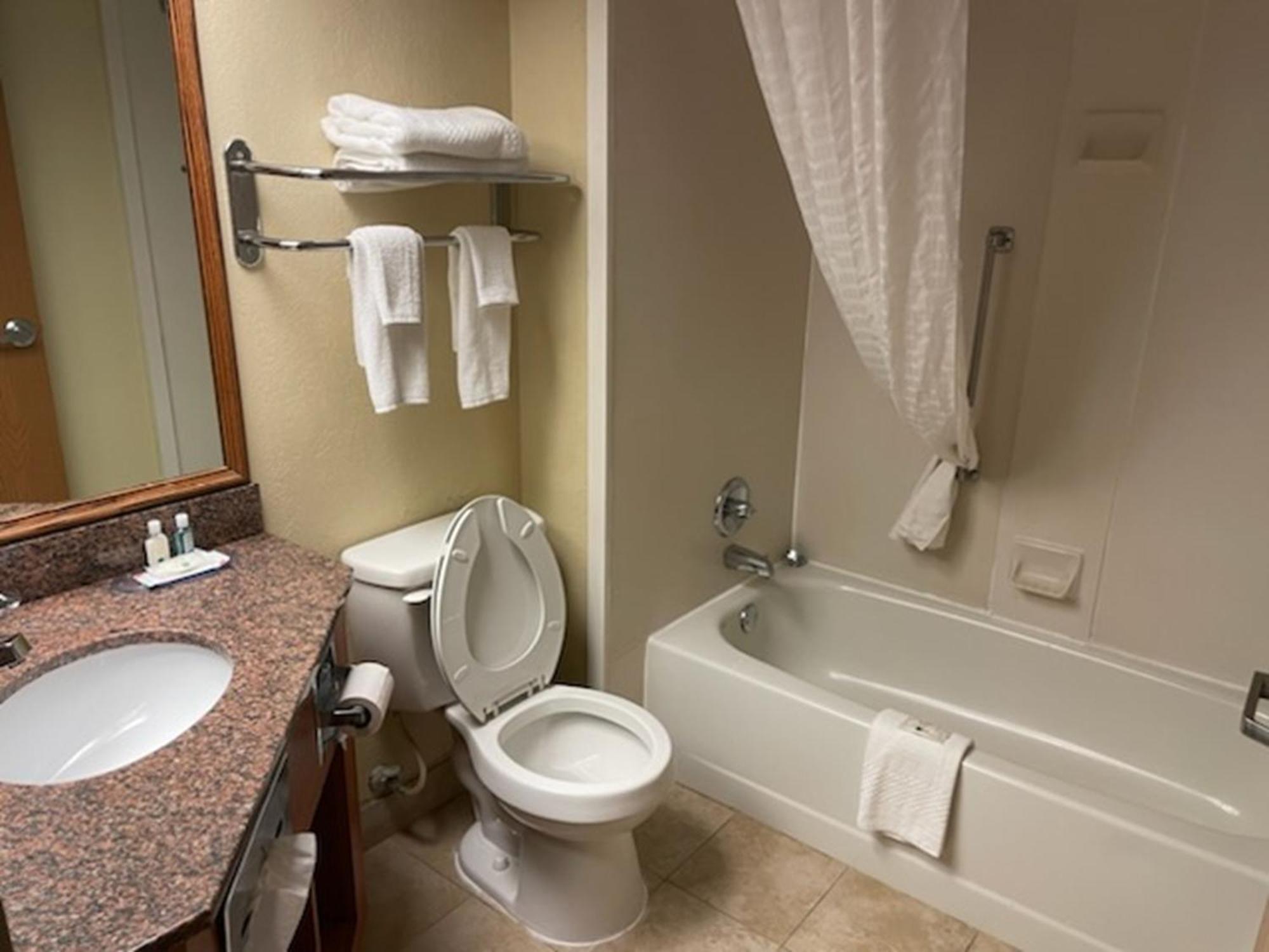 Quality Inn & Suites Saginaw Eksteriør billede